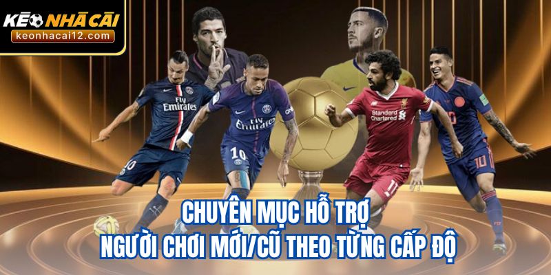 Chuyên mục hỗ trợ người chơi mới/cũ theo từng cấp độ