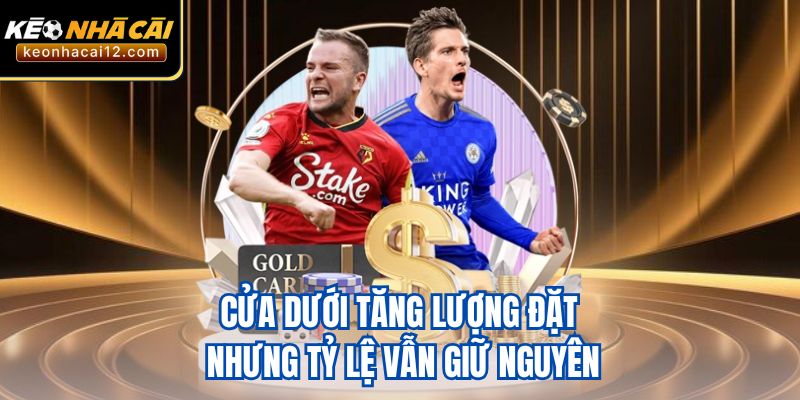 Cửa dưới tăng lượng đặt nhưng tỷ lệ vẫn giữ nguyên
