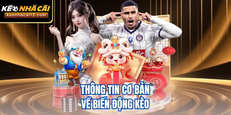 Thông tin cơ bản về biến động kèo