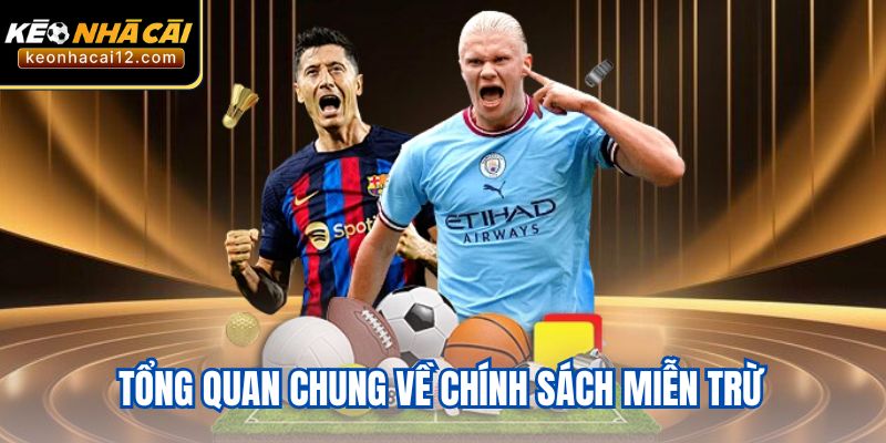 Tổng quan chung về chính sách miễn trừ