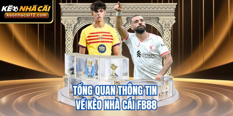 Tổng quan thông tin về kèo nhà cái FB88