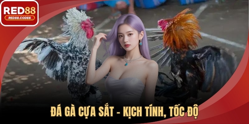 Đá Gà Cựa Sắt