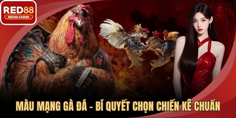 Màu Mạng Gà Đá