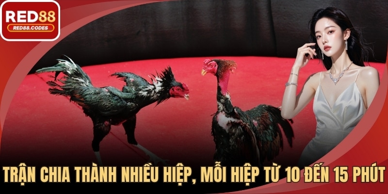 Trận chia thành nhiều hiệp, mỗi hiệp từ 10 đến 15 phút